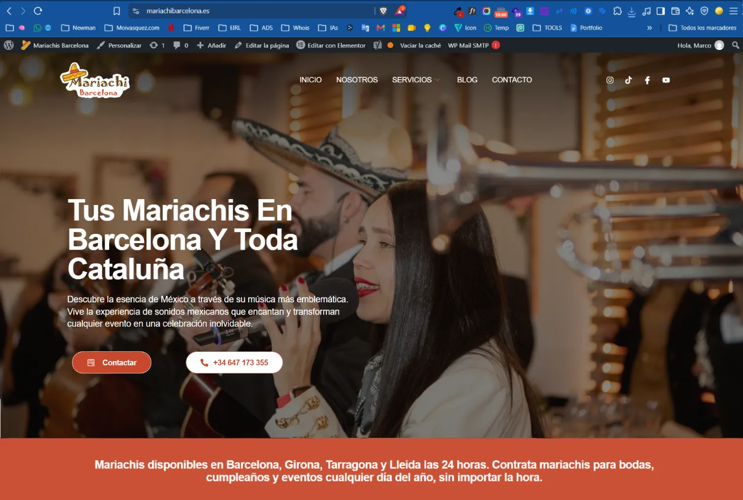 Desinfección de malware y virus en WordPress y Servidores
